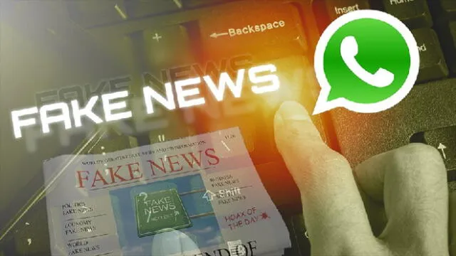 WhatsApp activa botón contra las fake news.