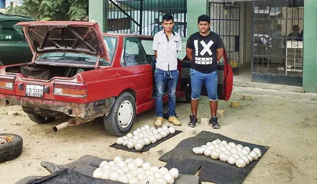 Caen dos sujetos con 96 paquetes de alcaloide de cocaína en peaje de Piura