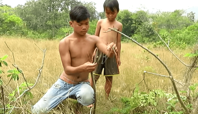 Facebook: niños crean trampa para capturar serpientes y hacen lo impensado [VIDEO]