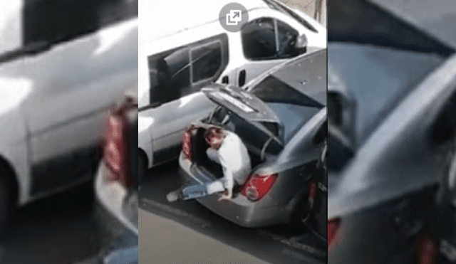 Video es viral en Facebook. Una mujer se percató de la graciosa escena mientras observaba la calle en su balcón, y no dudó en grabarla para compartirla en redes.