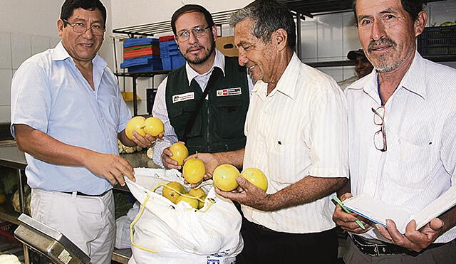 80 productores de Motupe venden maracuyá y papaya a cadena de supermercados 