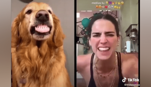 Desliza las imágenes para ver la graciosa escena que protagonizó un perro en TikTok.