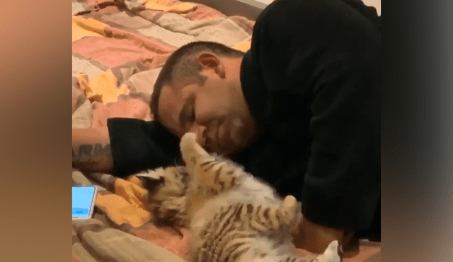 Desliza hacia la izquierda para ver la tierna escena de YouTube de un cuidador de felinos con un tigre bebé.