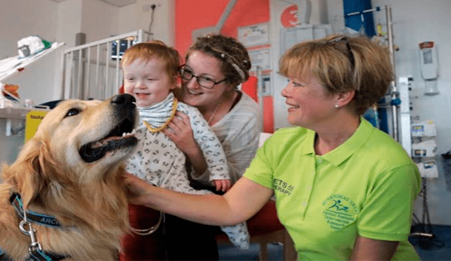 Los "dog-tors" también visitan a sus pacientes a fin de sacarles una sonrisa. Foto: SCH Therapy Dogs/Facebook