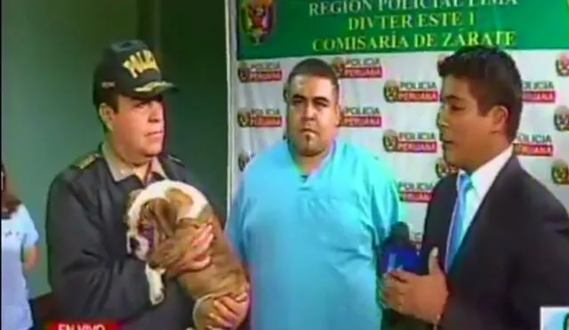 SJL: La Policía recupera perro robado durante asalto a una clínica veterinaria [VIDEO]