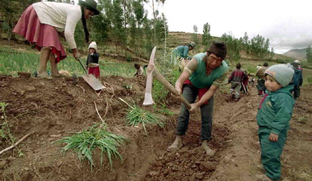 En foro analizan subsidio del seguro agrícola parala pequeña agricultura