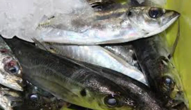 Direpro ofertó pescado a s/.5.00 kilo en la plaza Bolognesi de Huancavelica