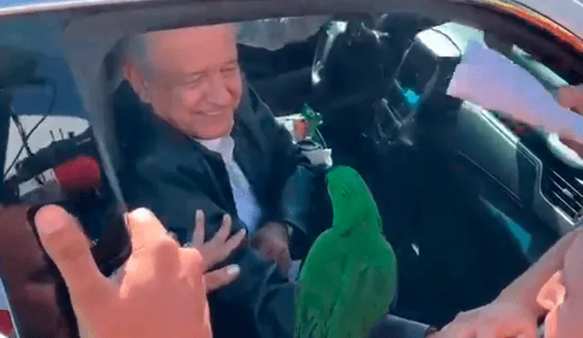 El presidente de México tuvo una inusual reacción cuando le dijeron que el ave era suyo. Foto: captura.