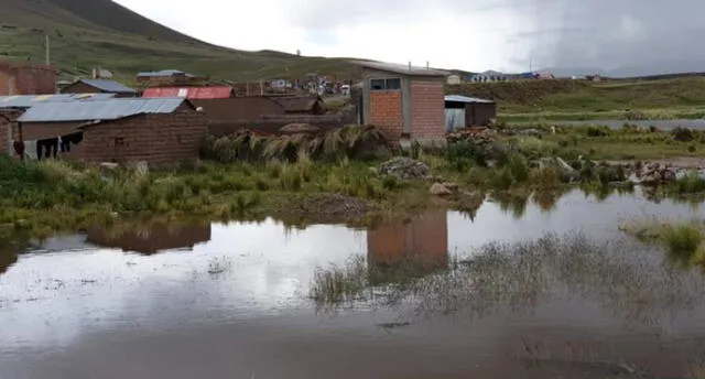 Desbordes de ríos inundan casas y sembríos en Puno.