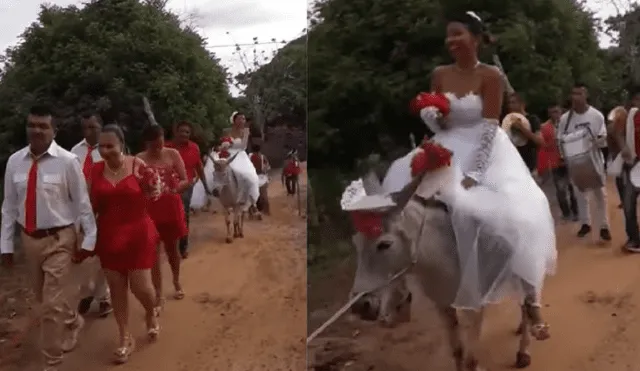 Youtube Viral: novia sorprende al llegar en burro al matrimonio [VIDEO]