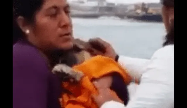 Facebook: Indignante, sujetos intentaron sacrificar a un perro callejero para alimentarse [VIDEO]