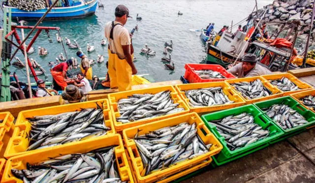 Actividad productiva del sector pesca creció 101,01% durante abril, según PRODUCE