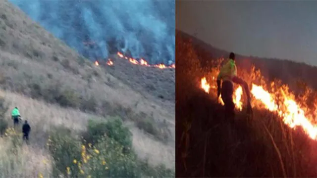 Extranjeros son acusados de provocar incendio forestal en Cusco