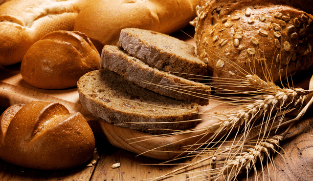 El pan hecho con cucarachas tiene más proteínas que la carne roja