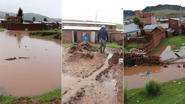 Desborde de dos ríos afectaron campos de cultivos y viviendas en el distrito de Nuñoa.
