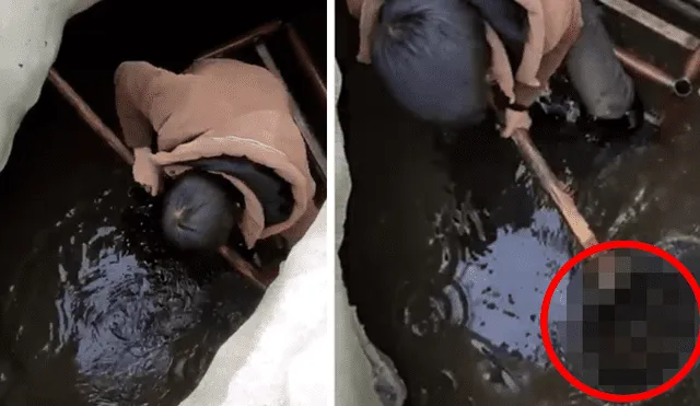 Facebook viral: Niño entra a pozo y descubre 'aterradoras' criaturas que sorprenden a miles [VIDEO]
