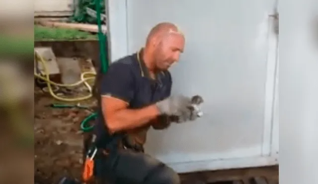 La conmovedora reacción de un bombero al rescatar a un gatito atrapado en agujero [VIDEO]