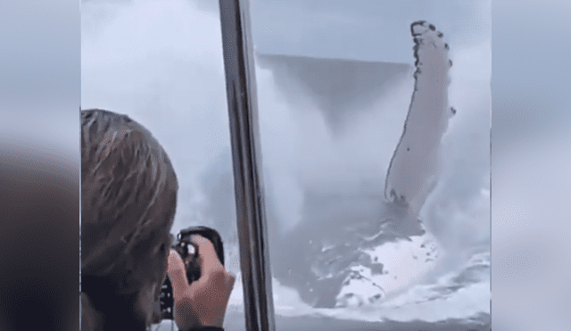 Desliza hacia la izquierda para ver el momento en que una ballena emerge del mar frente a los turistas, escena que es viral en YouTube.