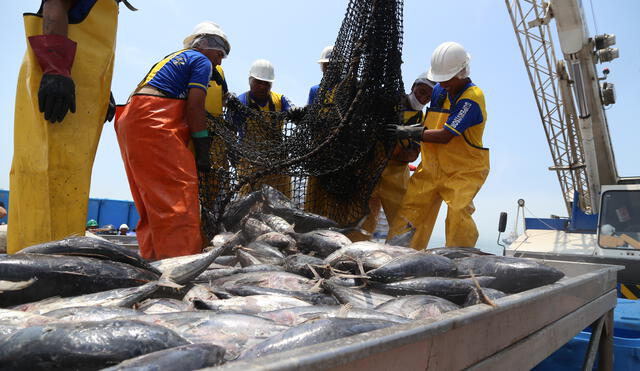 La pesca crece 30,59 % y sostendría el crecimiento del PBI durante febrero 