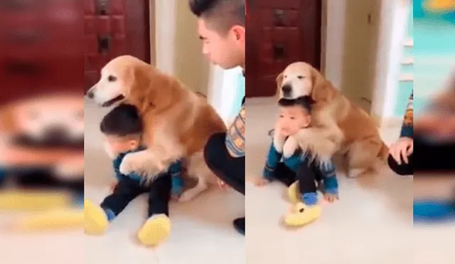 Facebook viral: perro ve que su dueño quiso "castigar severamente" a su hijo y sale a defenderlo [VIDEO]