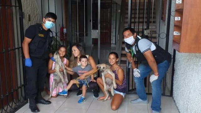 Perros rescatados por la Brigada Canina de Surco son adoptados [FOTOS]