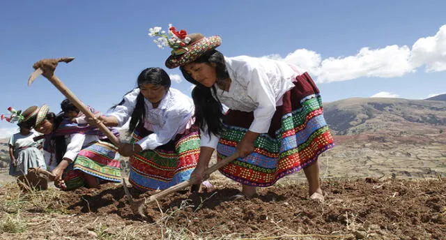 Arequipa: Declaran Patrimonio Cultura al ritual andino Qhasqa de Taya