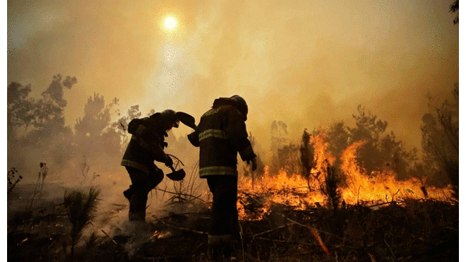 Tragedia en Amazonas: los últimos incendios forestales en Sudamérica [FOTOS Y VIDEOS]