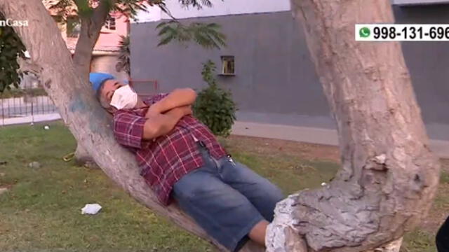 Hombre se queda dormido en el árbol. Créditos: Captura América.