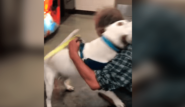 Hombre sin hogar se reunió con su mascota después de varios días sin verlo y la reacción del can se hizo viral en Facebook