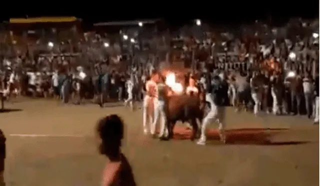 Incendian los cuernos de toro en pleno festival de Cataluña [VIDEO]