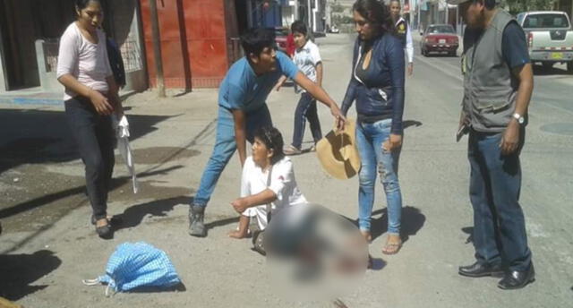 Perros rottweiler atacaron a mujer durante el Día de la Madre en Moquegua 