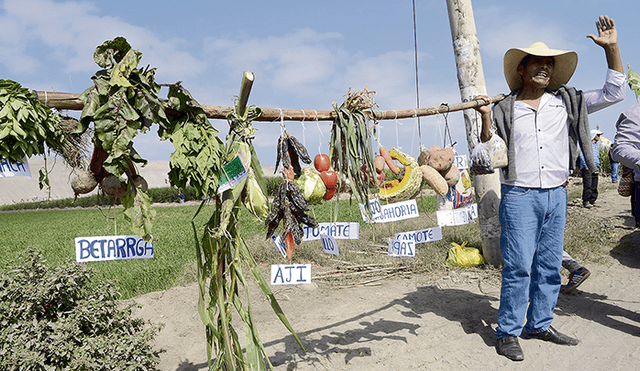 Temor. Agricultor muestra su producción que cree está en riesgo.