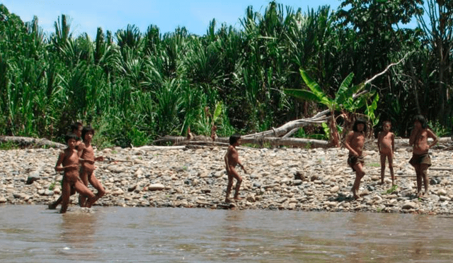 Rechazan ley que permite construcción de vías en Ucayali por atentar contra pueblos indígenas en aislamiento
