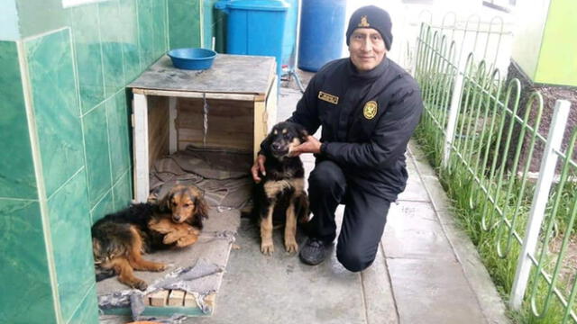 Pedro Delgado Gozar se ha convertido en el principal difusor de la Ley de Protección y Bienestar Animal.