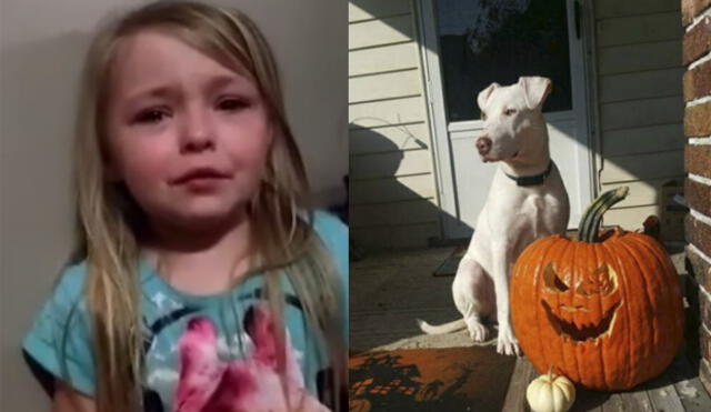 Facebook: Niña se emociona hasta las lágrimas luego de recuperar a su perro [VIDEO]