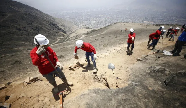 La Municipalidad de Lima inició la segunda obra de acondicionamiento de las Lomas de Amancaes. Foto: Municipalidad de Lima