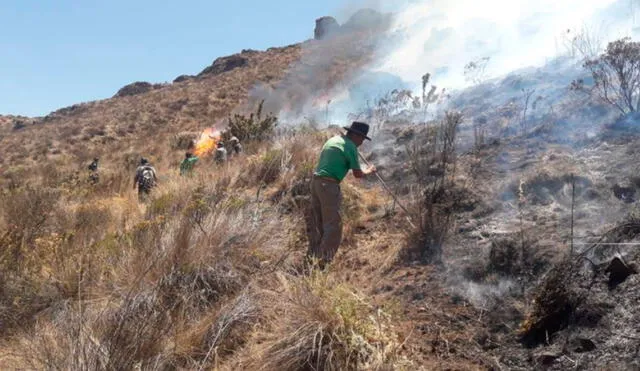 Siniestro en provincia de Aija arrasó con cinco hectáreas de pastizales. Foto: COER