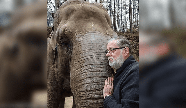 YouTube viral: elefante se reencuentra con su cuidador después de 32 años y pasa esto [VIDEO] 