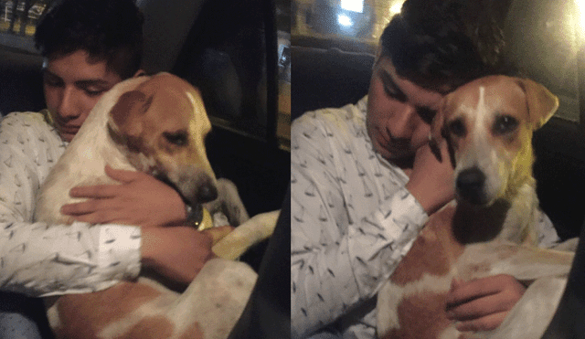 En Facebook, joven ebrio adopta un perro que encontró al salir de una discoteca [VIDEO]