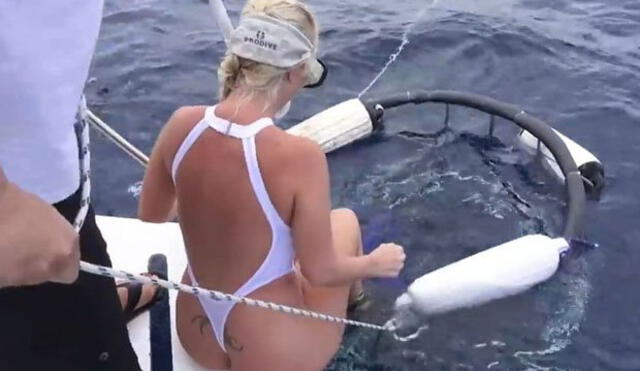 YouTube: La verdadera historia detrás de la 'mordida' que dio un tiburón a una actriz porno