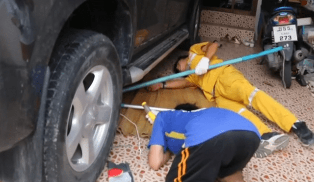Facebook viral: gigantesca serpiente fue hallada dentro de auto malogrado por mecánicos [VIDEO]