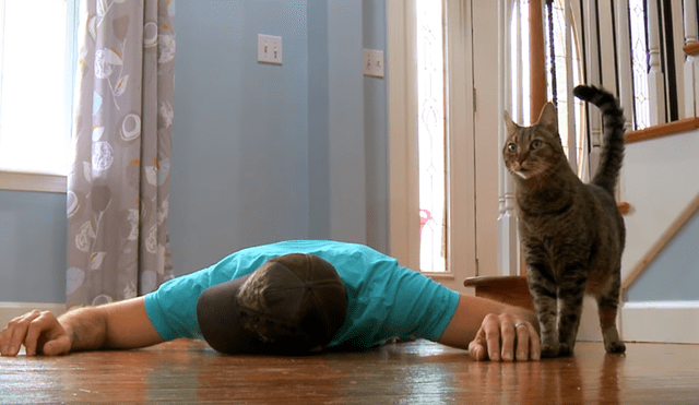 YouTube Viral: Gato hizo lo impensable al ver "muerto" a su dueño [VIDEO]