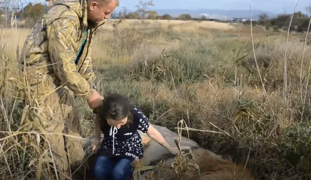 YouTube viral: así reaccionó león cuando turista se echa sobre su pecho para una foto [VIDEO]