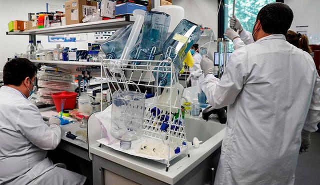 Varios investigadores españoles también están en la carrera por dar con una vacuna contra el nuevo coronavirus. Foto: EFE
