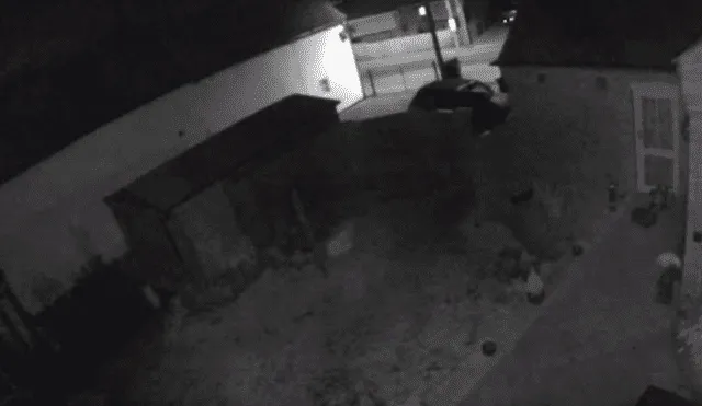 YouTube viral: chica revisa videos de seguridad y cree haber filmado un 'fantasma' [VIDEO]