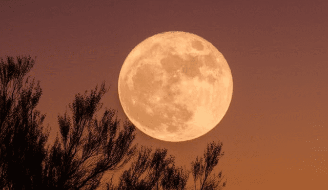Superluna 2019: cuándo verla y por qué la nombraron 'luna llena de gusano'