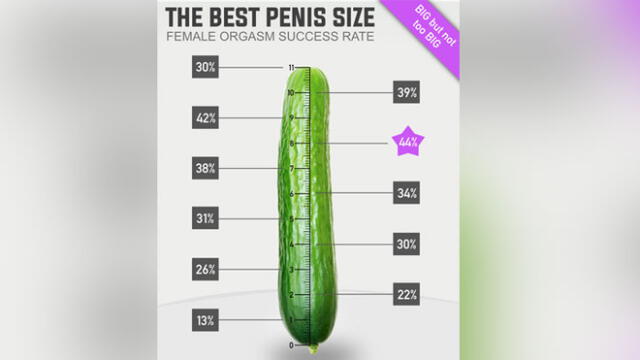 Entérate si el miembro viril necesita de un tamaño ideal para lograr un orgasmo