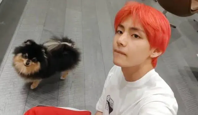 Yeontan, la mascota de V de BTS, se ha robado el corazón del ARMY.