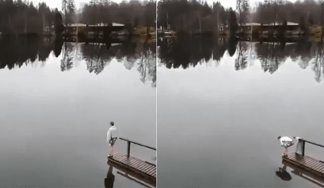 YouTube Viral: Prometió hacer un espectacular clavado en el lago, pero troleó a todos [VIDEO]