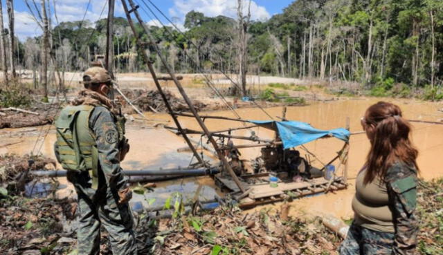 La minería ilegal amenaza la flora y fauna de la zona de amortiguamiento de la Reserva de Tambopata. (Foto: FEMA Madre de Dios)